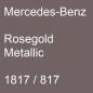 Preview: Mercedes-Benz, Rosegold Metallic, 1817 / 817.